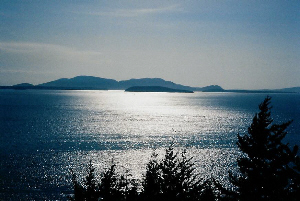 Chuckanut Drive View (by Dan Keusal)