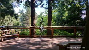 "Stone Bridge, Whatcom Falls Park (Bellingham, WA)" Photo by Dan Keusal